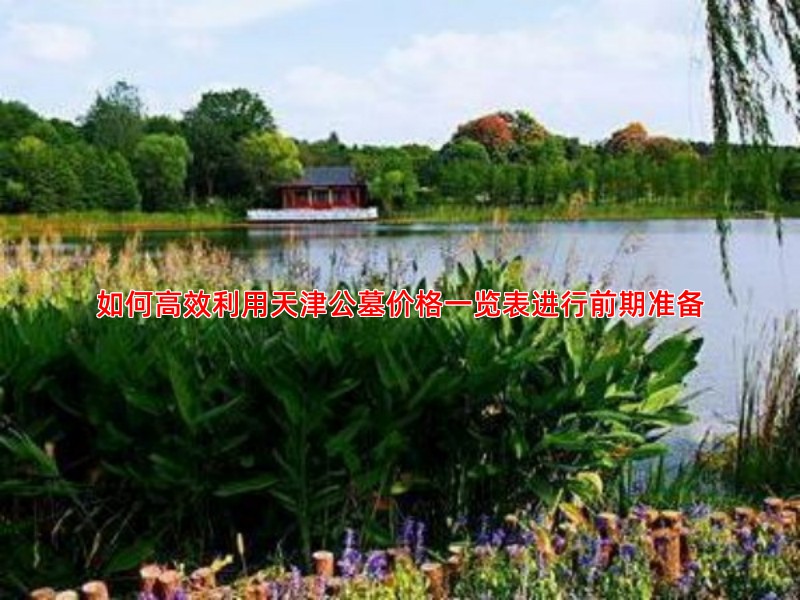 如何高效利用天津公墓价格一览表进行前期准备
