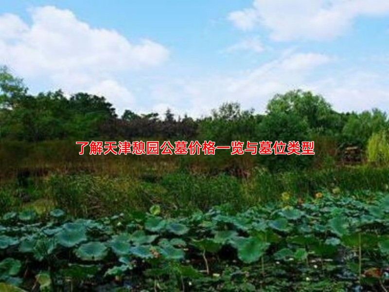 了解天津憩园公墓价格一览与墓位类型