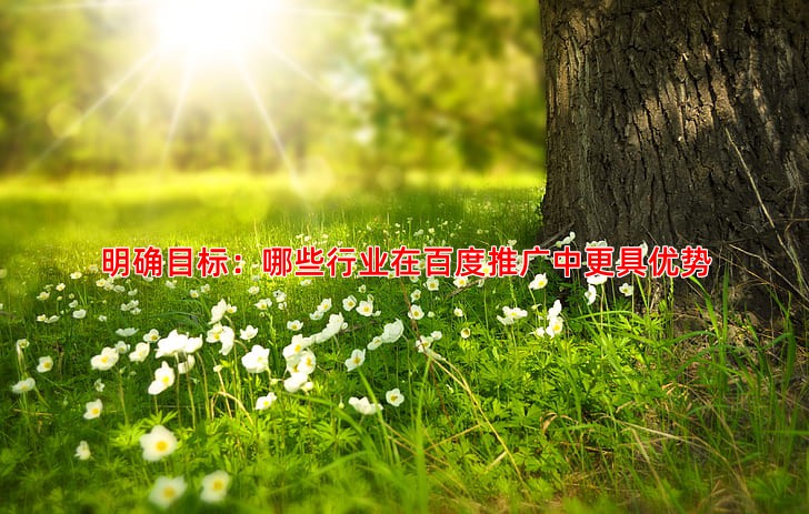 中小企业做百度推广应该选择哪些行业