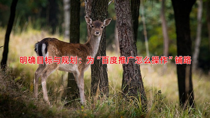 明确目标与规划：为“百度推广怎么操作”铺路