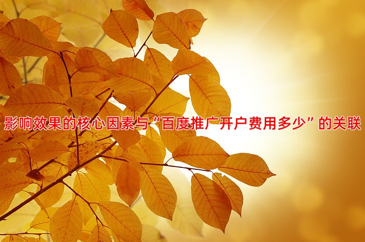 百度推广效果受哪些因素影响及应对策略分析
