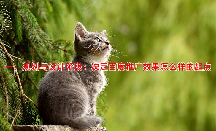 企业网站建设全流程关键步骤与注意事项