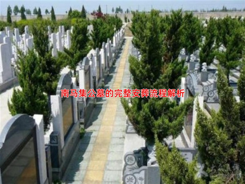 南马集公墓的完整安葬流程解析