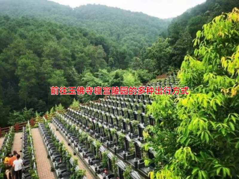 前往玉佛寺寝宫陵园的多种出行方式