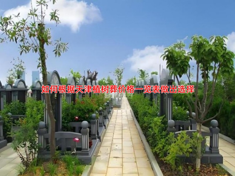 如何根据天津植树葬价格一览表做出选择