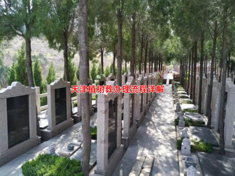 天津植树葬办理流程详解