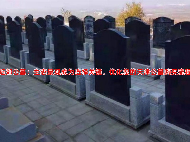 近郊公墓：生态景观成为选择关键，优化您的天津公墓购买流程
