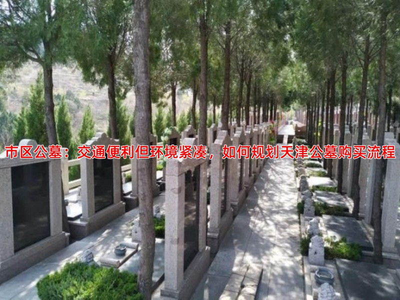 从市区到近郊，天津不同区域公墓环境全景对比