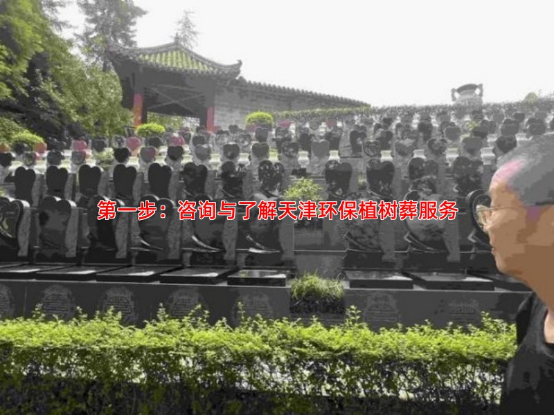 第一步：咨询与了解天津环保植树葬服务