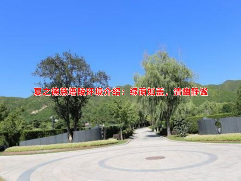 夏之德慈塔陵环境介绍：绿荫如盖，清幽静谧