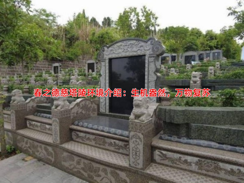春之德慈塔陵环境介绍：生机盎然，万物复苏