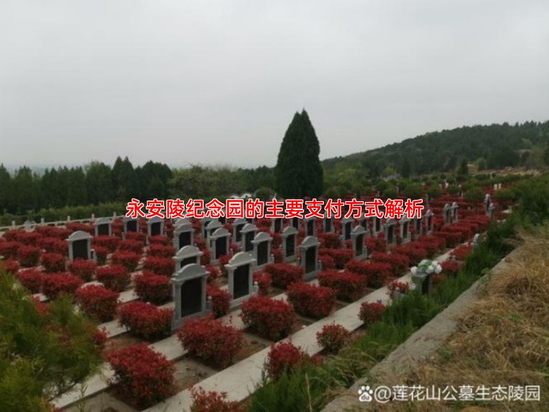 永安陵纪念园的主要支付方式解析