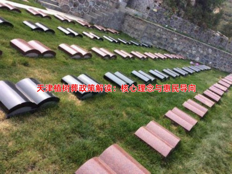 纪念树长青，生命回归自然：天津生态植树葬的意义 