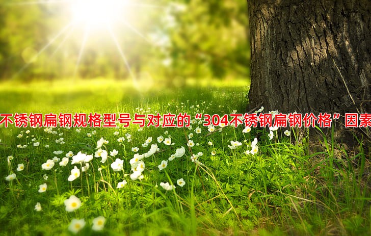 不锈钢扁钢规格型号与对应的“304不锈钢扁钢价格”因素
