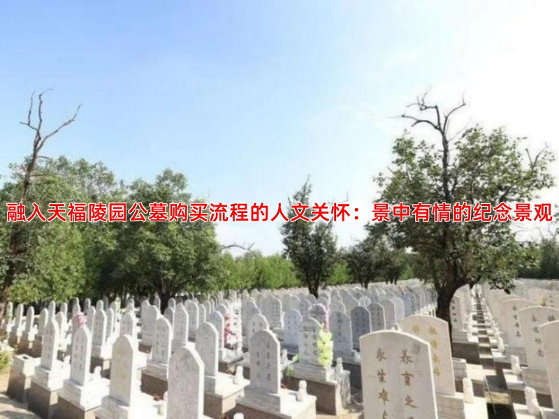 融入天福陵园公墓购买流程的人文关怀：景中有情的纪念景观