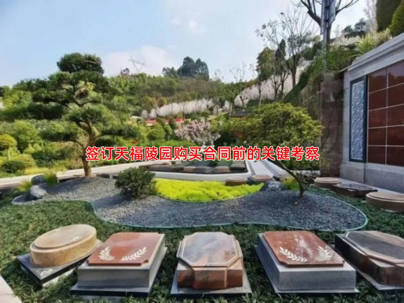 签订天福陵园购买合同前的关键考察