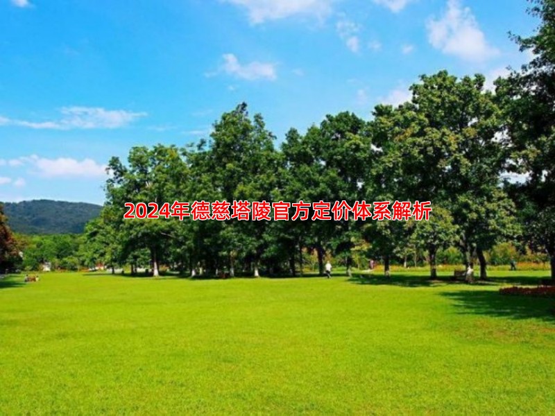 2024年德慈塔陵官方定价体系解析