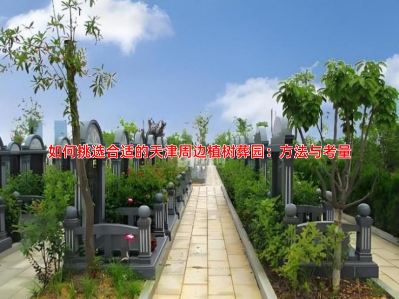 如何挑选合适的天津周边植树葬园：方法与考量