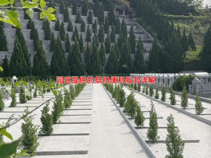园区提供的祭扫便利服务详解