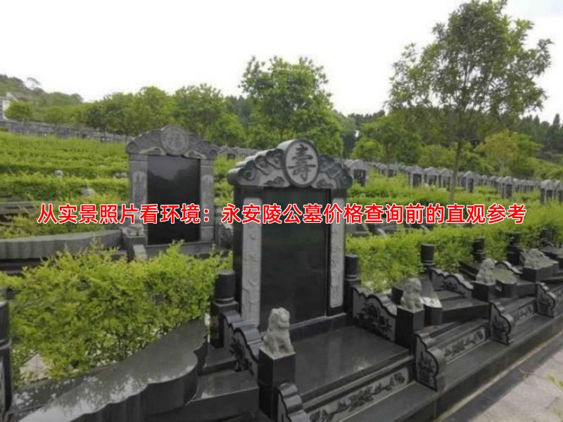 直观了解永安陵公墓：一组照片展现其清幽雅致的环境