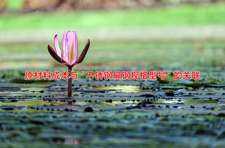 原材料成本与“不锈钢扁钢规格型号”的关联