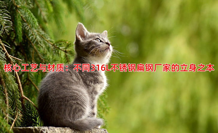 核心工艺与材质：不同316L不锈钢扁钢厂家的立身之本