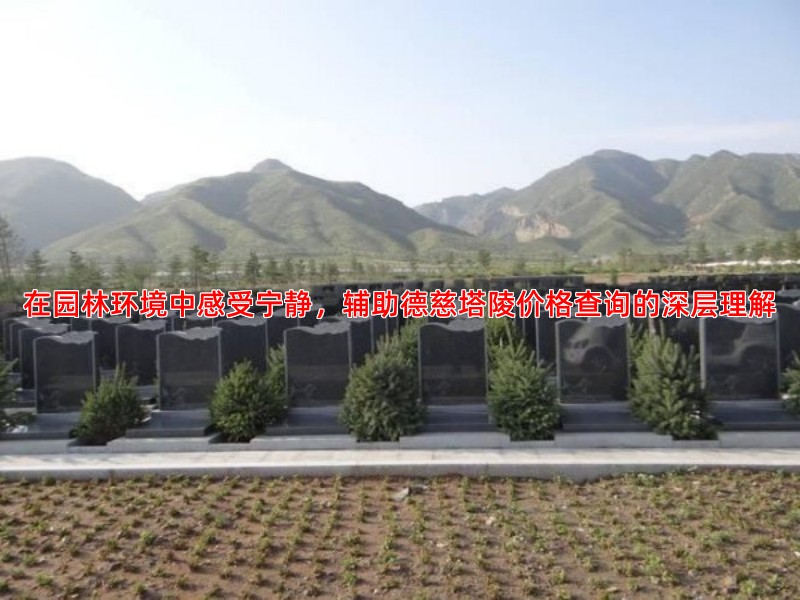 了解德慈塔陵，从它的园林环境与人文氛围开始