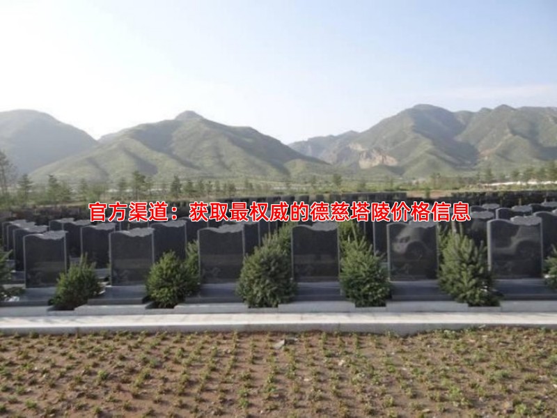官方渠道：获取权威的德慈塔陵价格信息