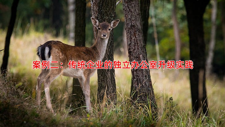 案例二：传统企业的独立办公室升级实践