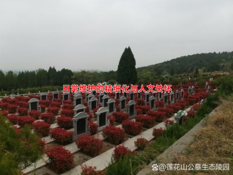 日常维护的精细化与人文关怀