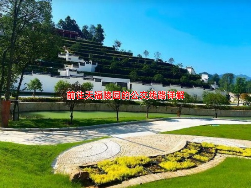 前往天福陵园的公交线路详解