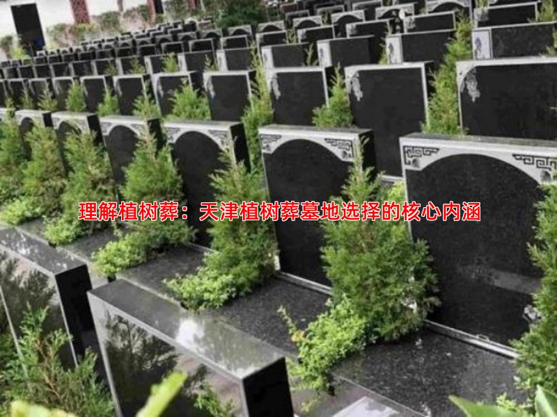理解植树葬：天津植树葬墓地选择的核心内涵
