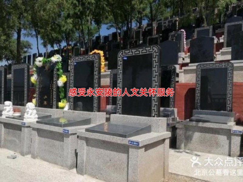 感受永安陵的人文关怀服务