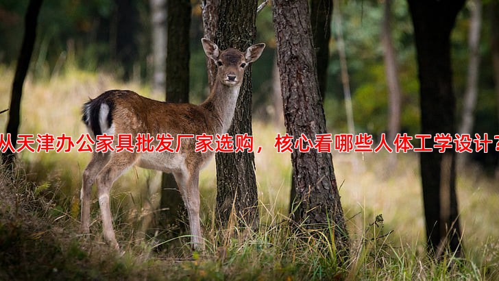 从天津办公家具批发厂家选购，核心看哪些人体工学设计？