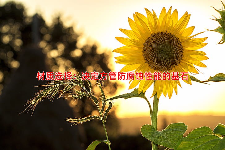 材质选择：决定方管防腐蚀性能的基石