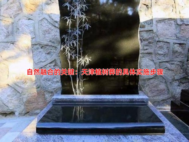 自然融合的关键：天津植树葬的具体实施步骤