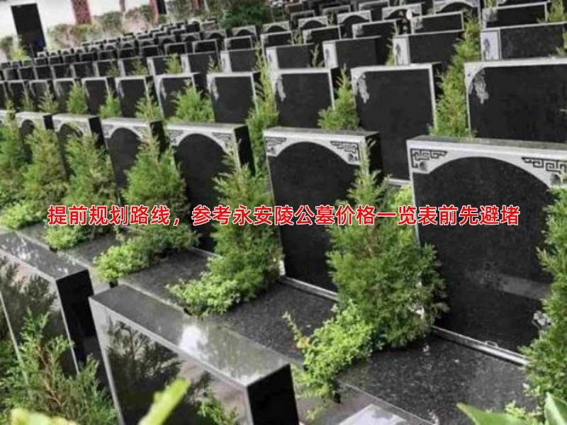提前规划路线，参考永安陵公墓价格一览表前先避堵