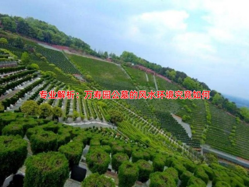 万寿园公墓的风水环境究竟如何专业人士为您解析