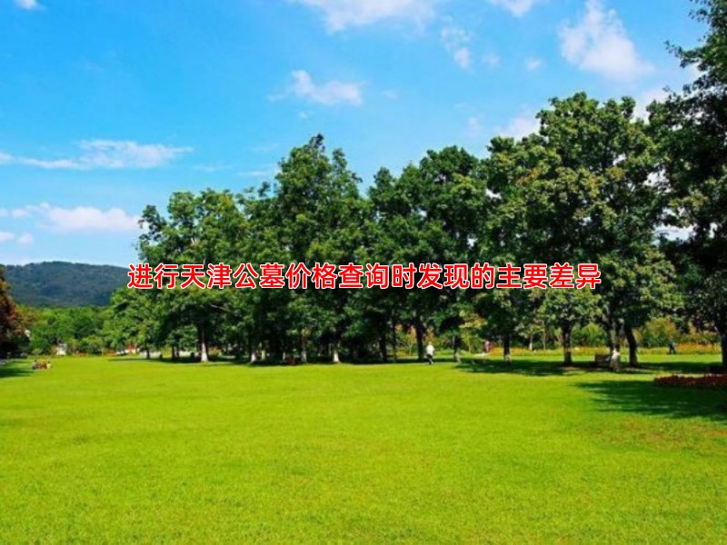 进行天津公墓价格查询时发现的主要差异