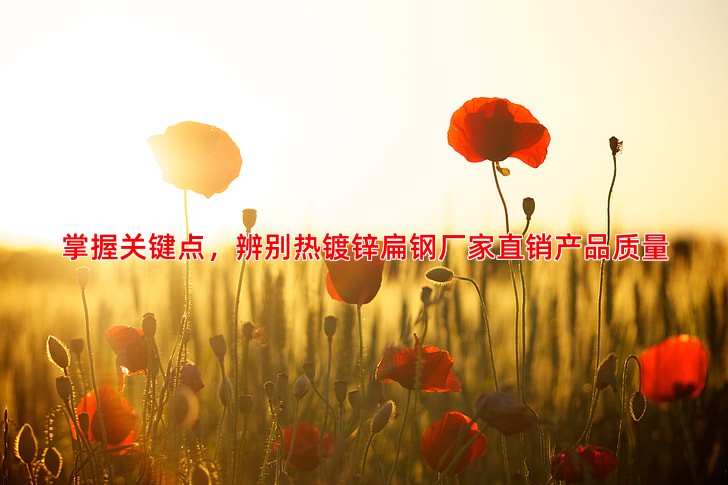 掌握关键点，辨别热镀锌扁钢厂家直销产品质量