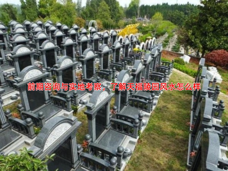 前期咨询与实地考察，了解天福陵园风水怎么样