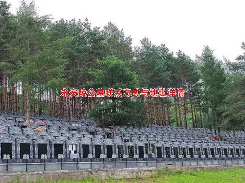 永安陵公墓联系方式全知道：电话、地址与服务项目