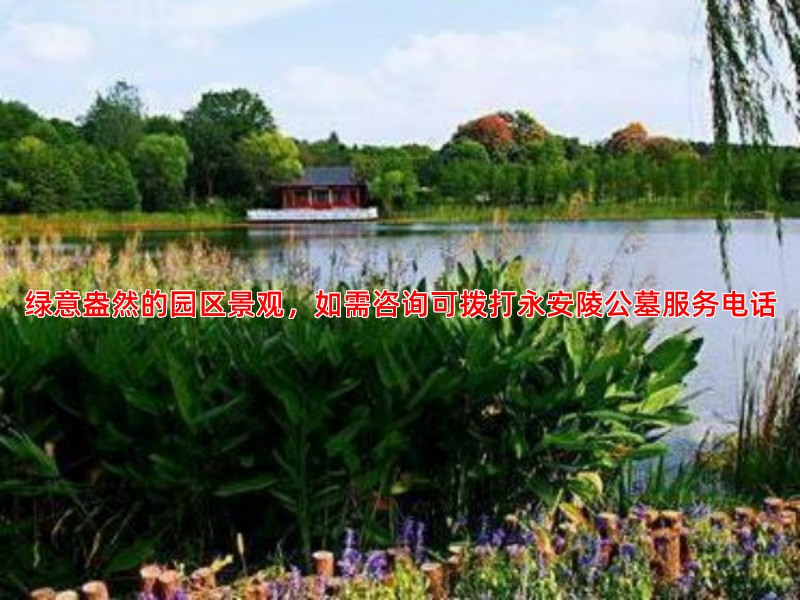绿意盎然的园区景观，如需咨询可拨打永安陵公墓服务电话