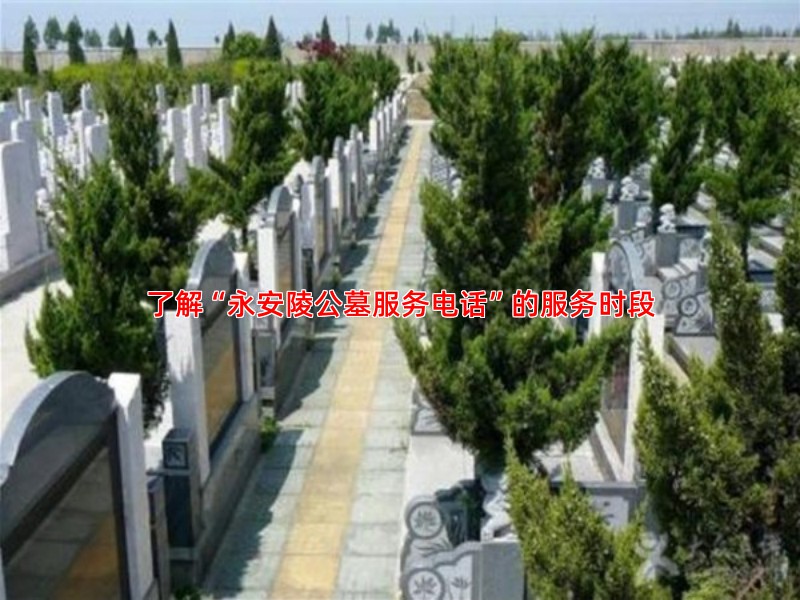 永安陵公墓服务电话是否提供二十四小时服务
