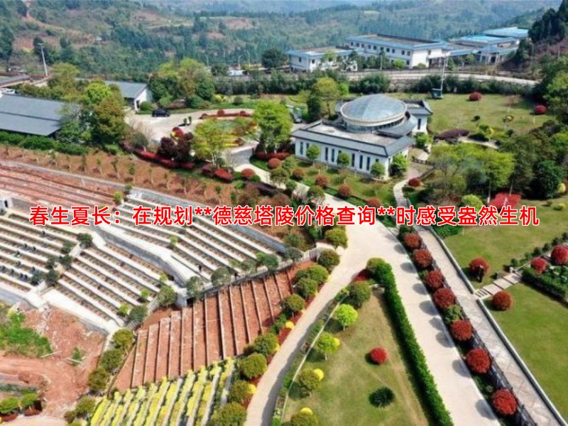 春生夏长：在规划**德慈塔陵价格查询**时感受盎然生机