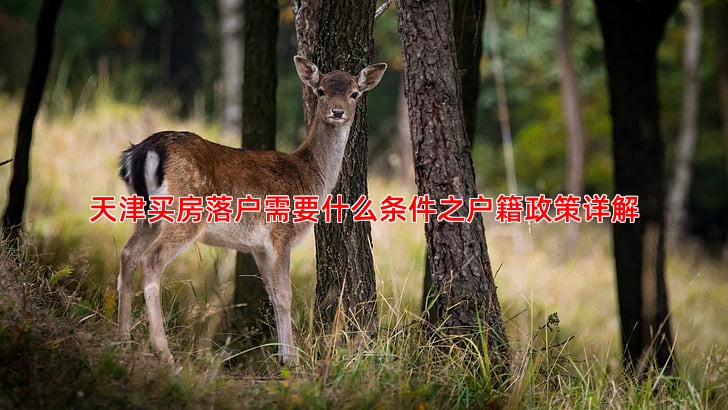 天津买房落户需要什么条件之户籍政策详解