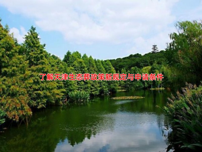 了解天津生态葬政策新规定与申请条件