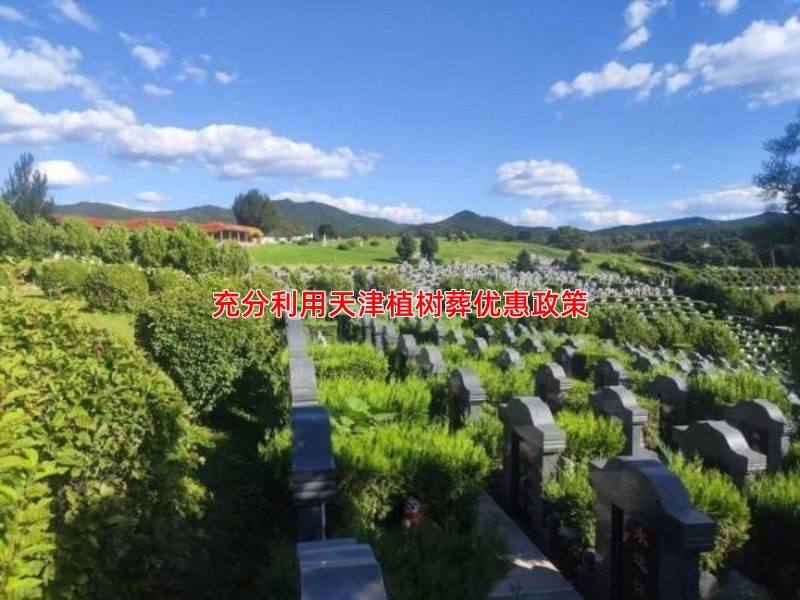 充分利用天津植树葬优惠政策