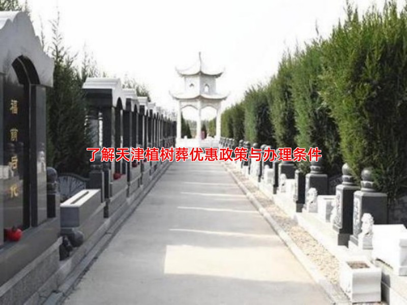 了解天津植树葬优惠政策与办理条件
