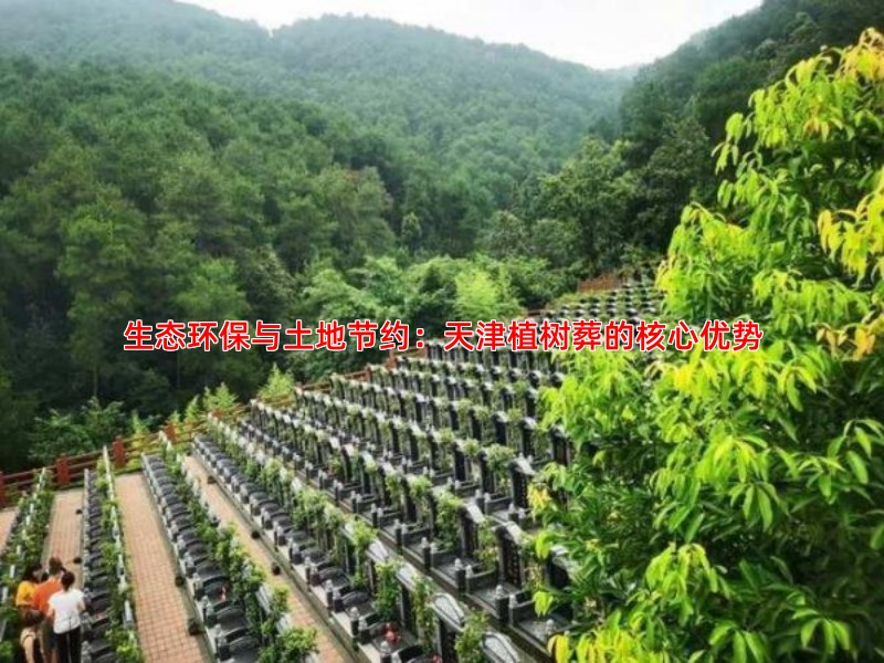 生态环保与土地节约：天津植树葬的核心优势